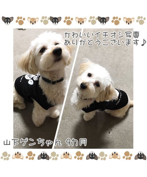 HAPPY DOG!!(はっぴーDOG！！)/ 犬 服 犬服 犬の服 タンクトップ 足跡柄 ドッグウェア 【春 夏 春夏 毛抜け防止 毛落ち防止 おしゃれ 可愛い 女の子 男の子 トイプードル チワワ 洋服/img14