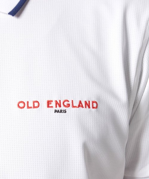 OLD ENGLAND　HOMME(オールドイングランド　オム　)/配色ラインポロシャツ/img04