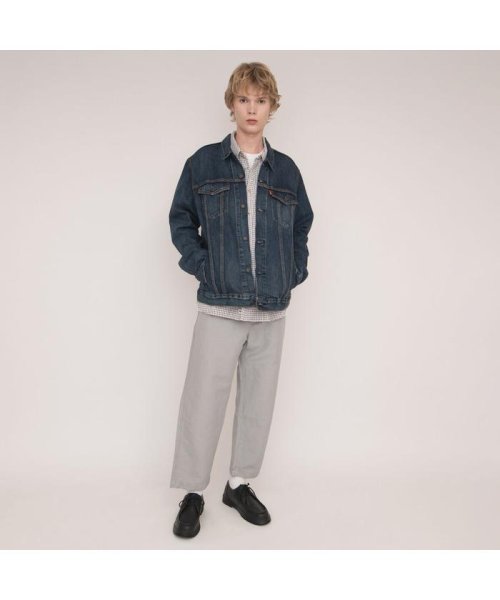 Levi's(リーバイス)/WLTHRD STAY LOOSE CROP AGAVE GREY/img09