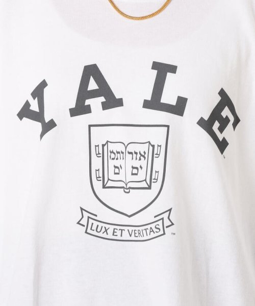 NOLLEY’S(ノーリーズ)/【WEB限定カラーあり】UCLA/YALE Tシャツ（ユニセックス）/img33