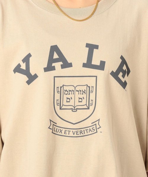 NOLLEY’S(ノーリーズ)/【WEB限定カラーあり】UCLA/YALE Tシャツ（ユニセックス）/img35