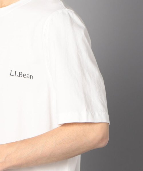 GLOSTER(GLOSTER)/【L.L.Bean/エルエルビーン】バックプリント Tシャツ (511789)/img05