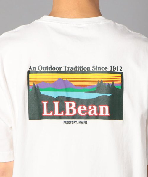 GLOSTER(GLOSTER)/【L.L.Bean/エルエルビーン】バックプリント Tシャツ (511789)/img07