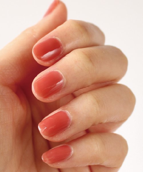 クーポン Homei 12free ネイルカバーハードナー Burnt Sienna ホーメイ Homei Magaseek