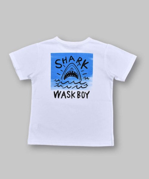 WASK(ワスク)/サメ プリント 天竺 半袖 Tシャツ (100~160cm)/img02