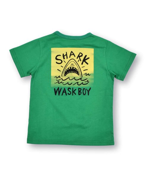 WASK(ワスク)/サメ プリント 天竺 半袖 Tシャツ (100~160cm)/img11