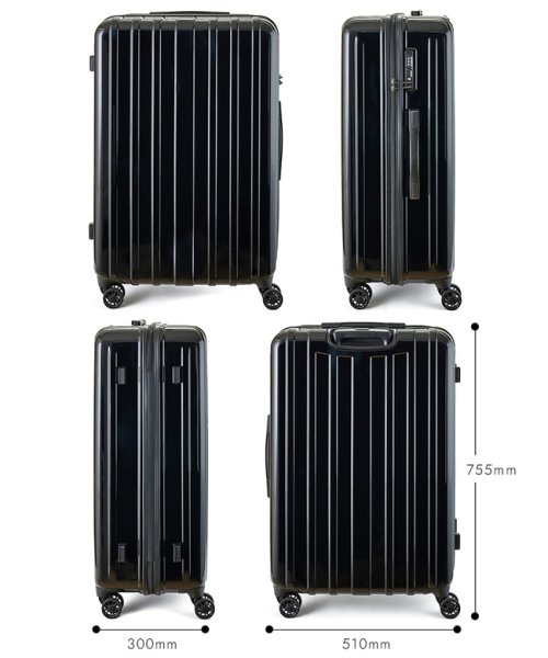 ASIA LUGGAGE(アジアラゲージ)/スーツケース Lサイズ LLサイズ 96L 大型 大容量 超軽量 受託無料 キャリーケース アジアラゲージ キャリエッタ A.L.I carieta－ltd－9/img05