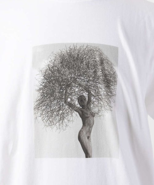 ABAHOUSE(ABAHOUSE)/【HerbRitts / ハーブ・リッツ】フォト Tシャツ/img10
