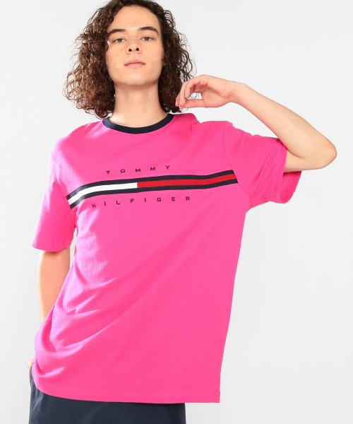 TOMMY HILFIGER(トミーヒルフィガー)/トミーヒルフィガー ロゴ Tシャツ / TINO TEE/img03