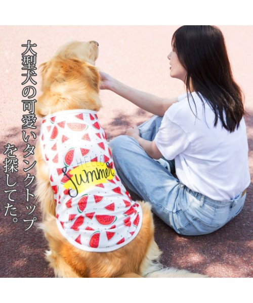 HAPPY DOG!!(はっぴーDOG！！)/大型犬 タンクトップ ソフトメッシュ スイカ柄 犬 服 犬服 犬の服 ドッグウェア 【春 夏 春夏 夏服 毛抜け防止 毛落ち防止 おしゃれ 可愛い 女の子 男の/img01