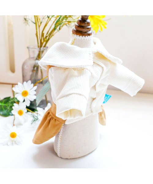 クーポン 犬 服 犬服 かわいい 春秋 Mowmow リボン ドレス ふりふり ワンピース おしゃれ 汚れ防止 防虫 防寒 エアコン対策 おしゃれ 春夏 秋冬 Dop00 マウマウ Mowmow Magaseek クーポン 犬 服 犬服 かわいい 春秋 Mowmow リボン ドレス ふりふり ワンピース おしゃれ 汚れ防止 防虫 防寒 エアコン対策 おしゃれ 春夏 秋冬 Dop00 マウマウ Mowmow Magaseek