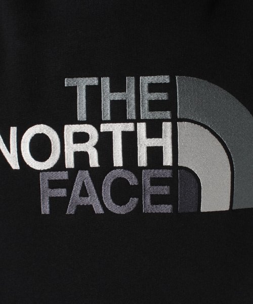 THE NORTH FACE(ザノースフェイス)/【THE NORTH FACE】ノースフェイス　パーカー NF00AHJY（T0AHJY） Men's Drew Peak Pullover Hoodie/img06
