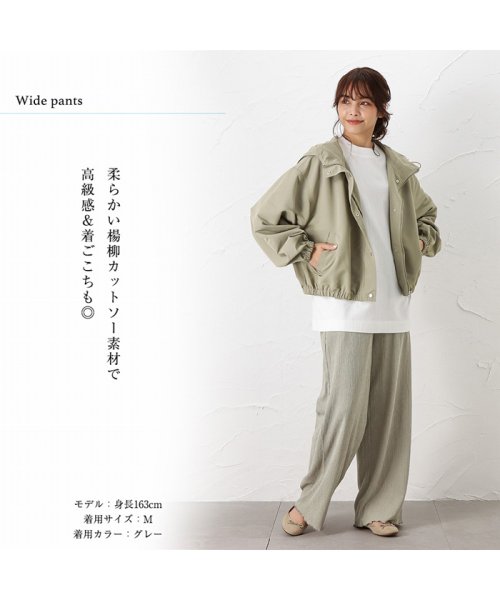 MAC HOUSE(women)(マックハウス（レディース）)/NAVY ネイビー 楊柳プリーツワイドパンツ 352－6102/img03