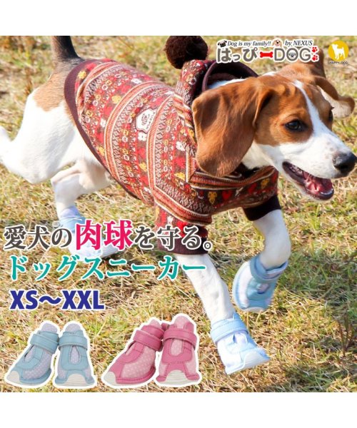 HAPPY DOG!!(はっぴーDOG！！)/犬 靴 犬靴 犬用靴 ドッグシューズ スニーカー 夏 肉球やけど防止 履かせやすい くつ 【秋 冬 秋冬 冬服 毛抜け防止 毛落ち防止 おしゃれ 可愛い 女の子/img01