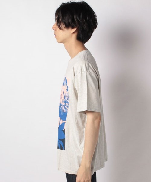 LEVI’S OUTLET(リーバイスアウトレット)/WLTRD VINTAGE TEE SILVER LEAF GREY GRAPH/img01