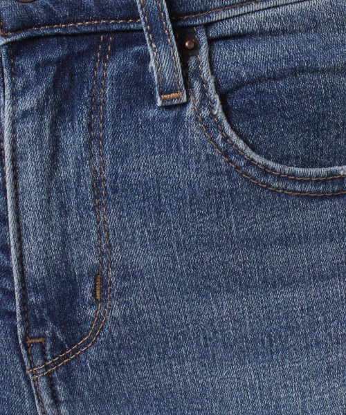 LEVI’S OUTLET(リーバイスアウトレット)/721 HIGH RISE SKINNY TOASTY WARM/img05