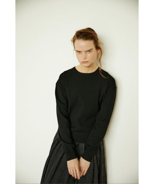 BLACK BY MOUSSY(ブラックバイマウジー)/washable longsleeve knit/img03