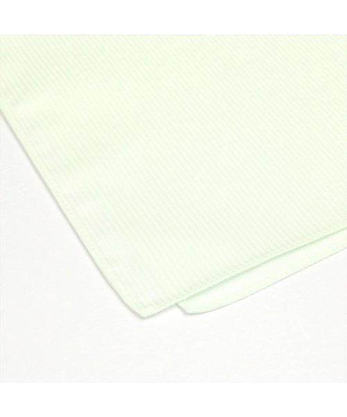 TOKYO SHIRTS(TOKYO SHIRTS)/日本製 綿100% ハンカチ グリーン系ストライプ織柄/img02