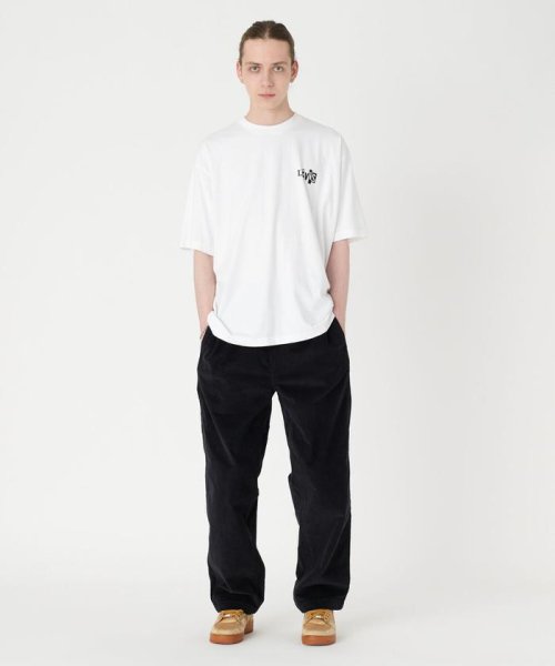 Levi's(リーバイス)/SKATE GRAPHIC BOX Tシャツ LSC WHITE CORE BATWING BLACK/img05