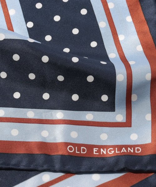 OLD ENGLAND(オールド　イングランド)/シルクドットスカーフ/img01