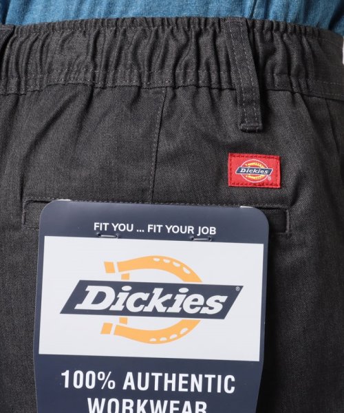 Dickies(Dickies)/【Dickies】ディッキーズ TCツイル イージーパンツ 【2022SS NEW COLOR追加！！】/img20