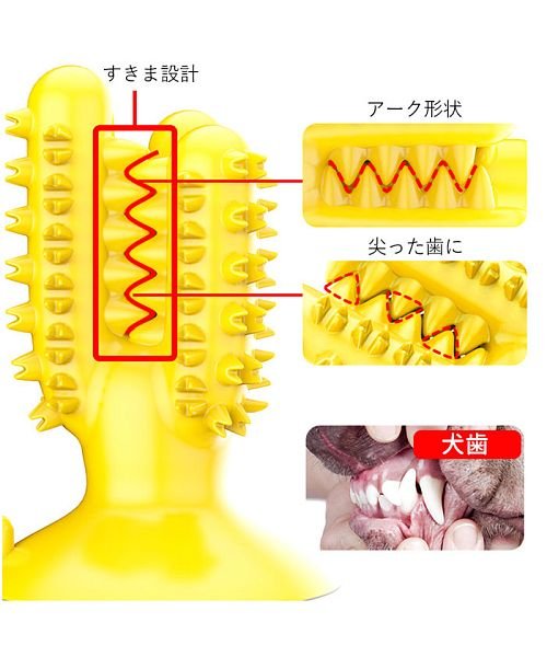 BACKYARD FAMILY(バックヤードファミリー)/犬歯ブラシ噛むおもちゃ ds423/img05