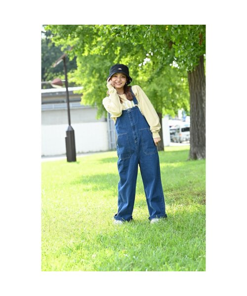 MAC HOUSE(women)(マックハウス（レディース）)/Dickies ディッキーズ オーバーオール 1482－8435/img01