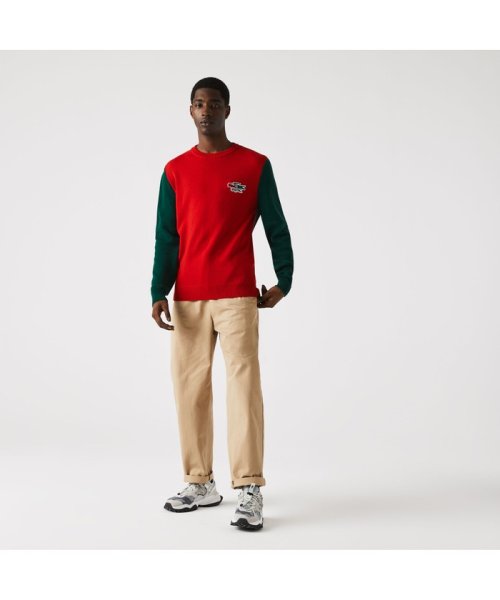 LACOSTE Mens(ラコステ　メンズ)/パネル配色エシカルウールニットセーター/img08