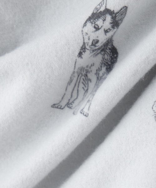 fran de lingerie(フランデランジェリー)/cotton flannel小型犬サイズ・犬服(ドッグウェア)・ドレス/img15
