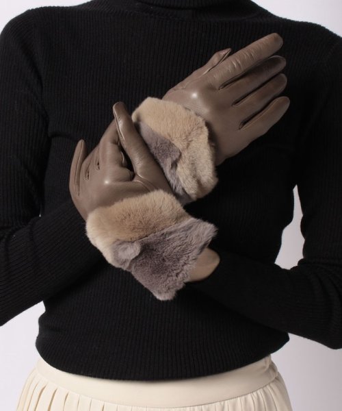 ANAYI(アナイ)/GALA GLOVES レッキスハイショクグローブ/img03