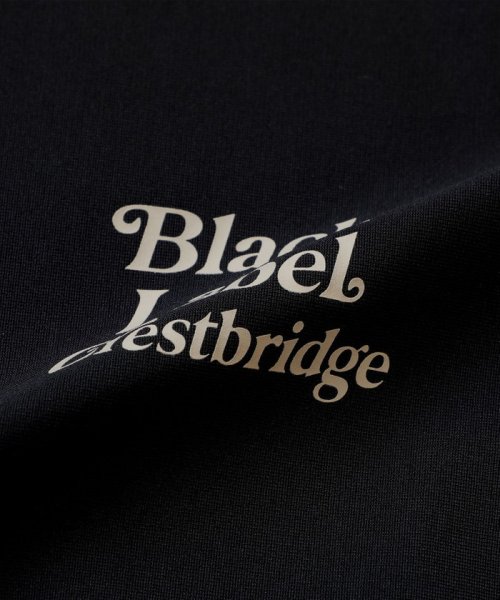 BLACK LABEL CRESTBRIDGE(BLACK LABEL CRESTBRIDGE)/【WEB限定】クレストブリッジストライプスウェット/img05