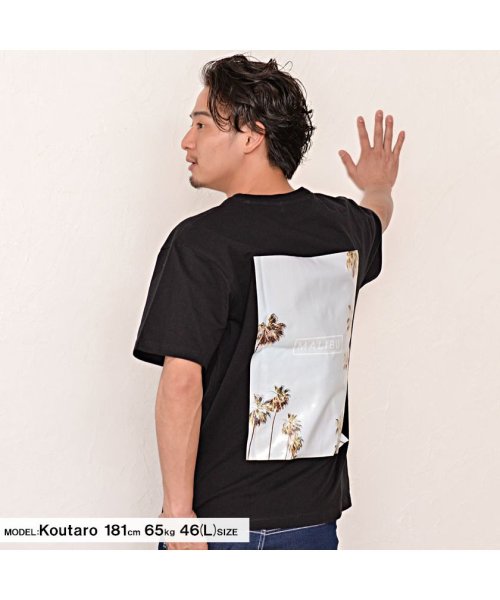 CavariA(キャバリア)/CavariA Tシャツ メンズ 半袖 ブランド プリント カットソー ホワイト ネイビー ブラック 黒 白 紺 ユニセックス クルーネック M L XL/img02