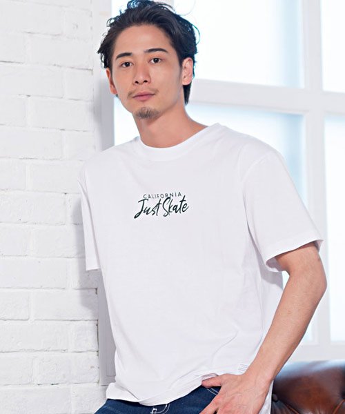 CavariA(キャバリア)/CavariA Tシャツ メンズ 半袖 ブランド プリント カットソー ホワイト ネイビー ブラック 黒 白 紺 ユニセックス クルーネック M L XL/img43