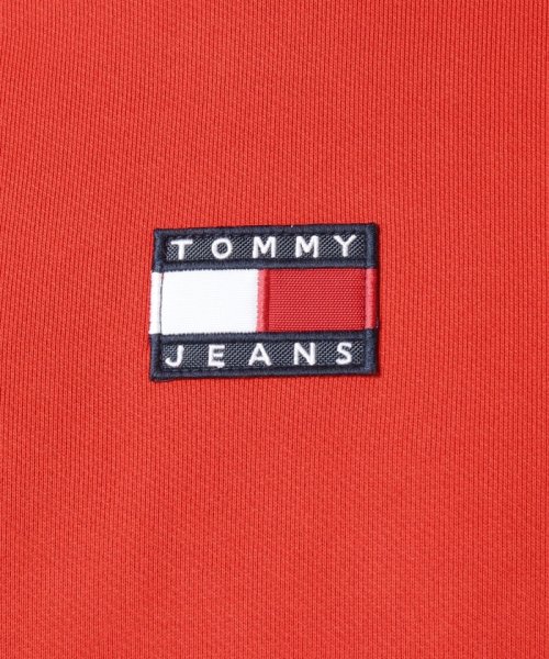 TOMMY JEANS(トミージーンズ)/TJM TOMMY BADGE HOODIE/img31