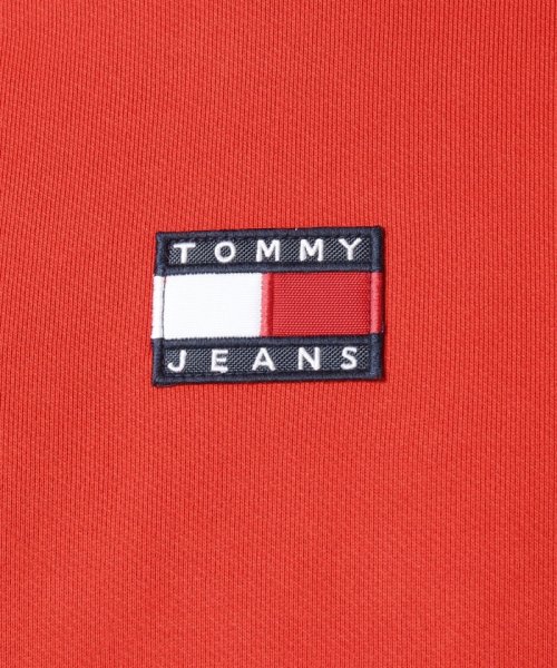 TJM TOMMY BADGE HOODIE 