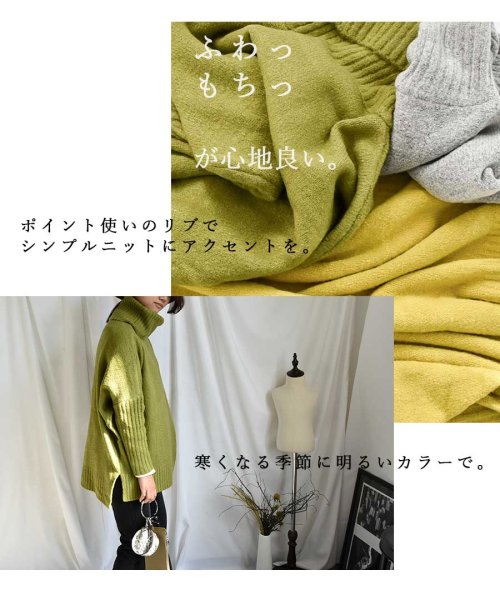 ARGO TOKYO(アルゴトウキョウ)/カラータートルネックニット　25105　Color turtleneck knit /img25