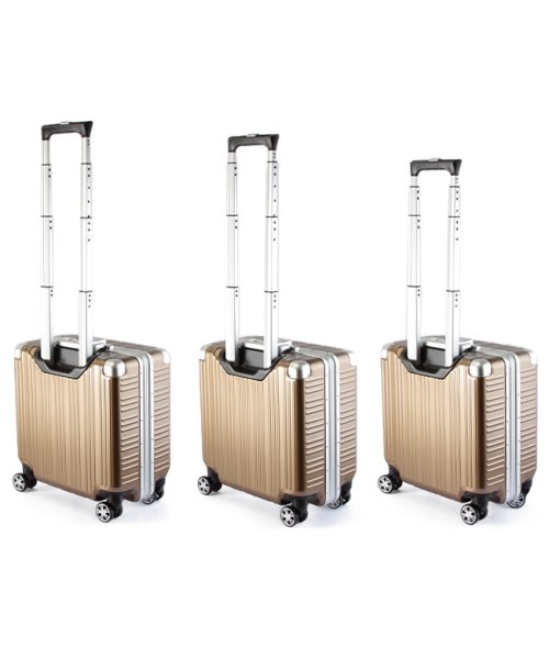 タケオキクチ スーツケース 機内持ち込み LCC対応 SS 32L コインロッカー 軽量 フレームタイプ TAKEO KIKUCHI DAJ001 TAKEO ｜約