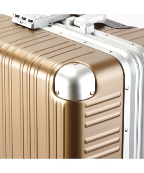 タケオキクチ スーツケース 機内持ち込み LCC対応 SS 32L コインロッカー 軽量 フレームタイプ TAKEO KIKUCHI DAJ001 TAKEO ｜約