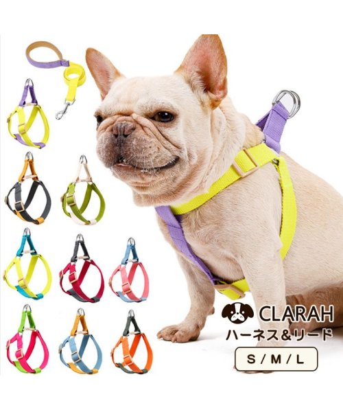 CLARAH　kids(クララキッズ)/ハーネス リード 犬 カラフル ハーネスリード セット 胴輪 犬用 ドッグ 小型犬 中型犬 大型犬 さんぽ 散歩/img01