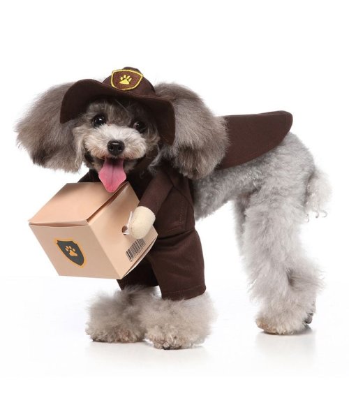 セール 犬服 ドッグ コスプレ 配達員 ハロウィン 犬用 コスチューム 小型犬 中型犬 クララキッズ Clarah Kids Magaseek