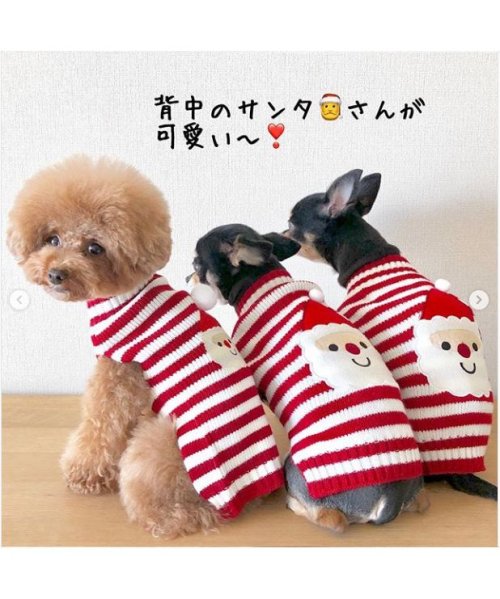 CLARAH　kids(クララキッズ)/犬服 ドッグウェア サンタクロース コスプレ クリスマス ニット ニットセーター /img01