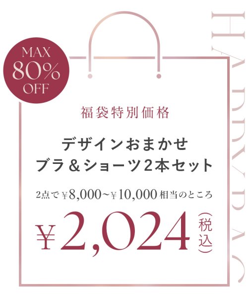 tu-hacci(ツーハッチ)/【ブラ&ショーツ2本セット福袋】2024年 福袋 デザインおまかせ2本セット レディース ブラセット インナー 下着 ブラジャー ショーツ ブラ/img02