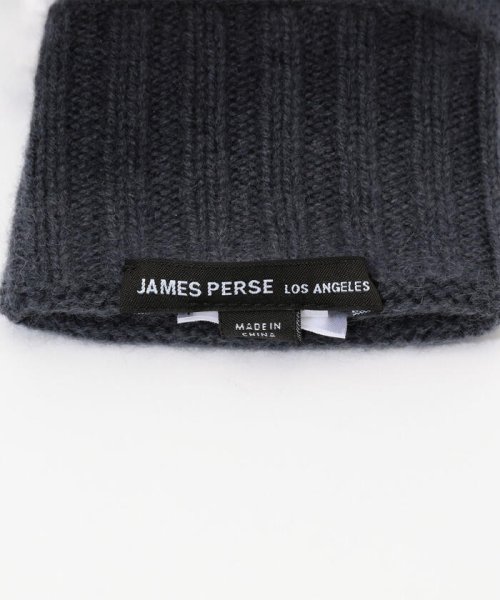 JAMES PERSE(JAMES PERSE)/ディップダイカシミヤ グローブ ARBC0512/img04