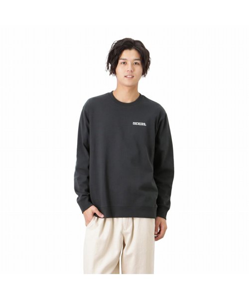 MAC HOUSE(men)(マックハウス（メンズ）)/Dickies ディッキーズ プリントロングスリーブTシャツ 2178－0531/img30