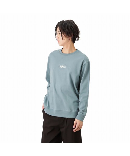 MAC HOUSE(men)(マックハウス（メンズ）)/Dickies ディッキーズ プリントロングスリーブTシャツ 2178－0531/img32