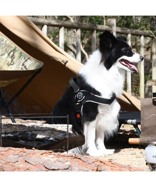 中大型犬用(中大型犬用)/【中大型犬用】ブリオ　ライン　ハーネス/img34