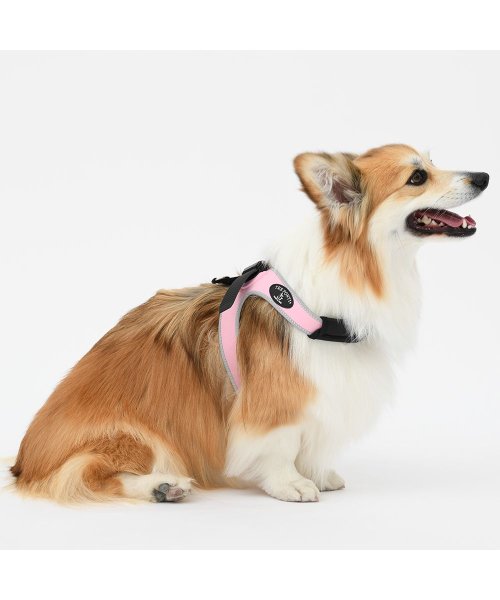 中大型犬用(中大型犬用)/【中大型犬用】スポルツァ　ライン　ハーネス【5号】/img26