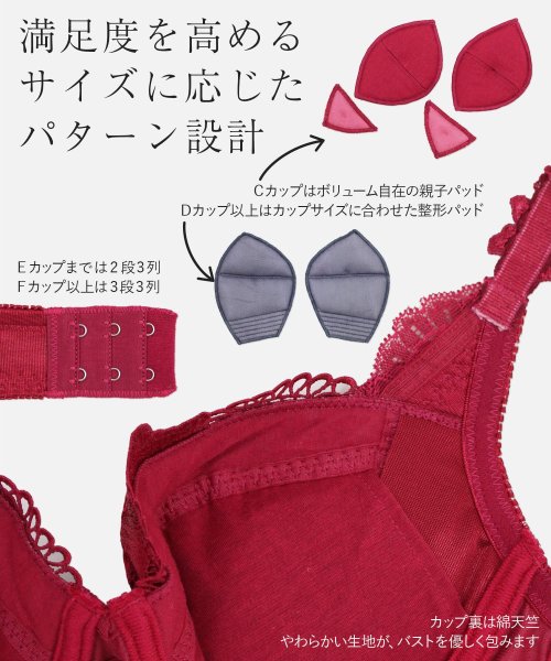 fran de lingerie(フランデランジェリー)/GRACE Limited Edition Premiunらくらく補正グレースプレミアムブラジャー E65－G85カップ/img26