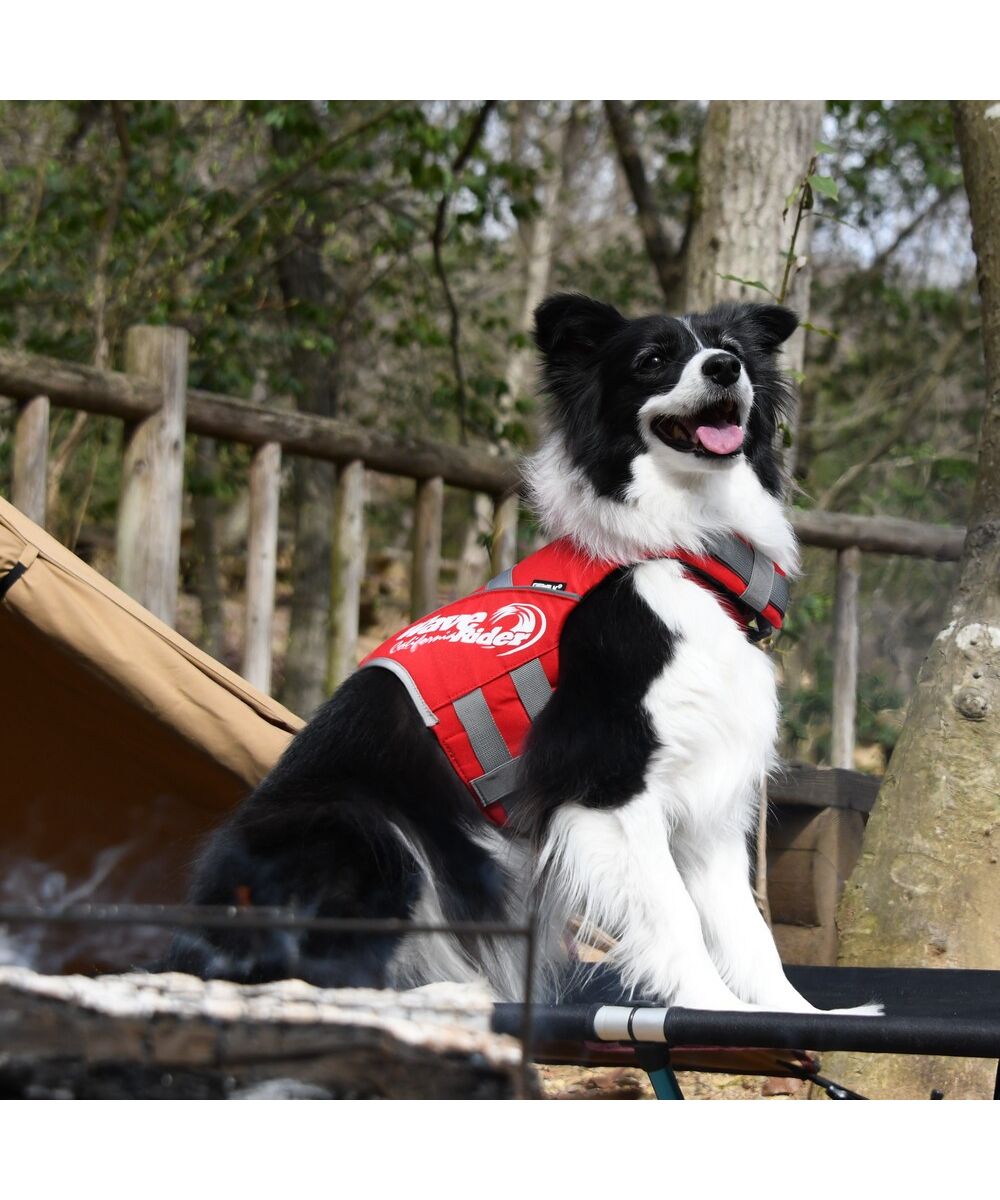 オイルペイント 新品未使用 ZOOLAND 犬ライフジャケットXSサイズ