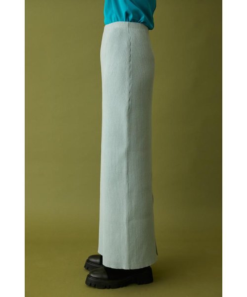 HeRIN.CYE(ヘリンドットサイ)/Back slit rib knit skirt 2/img03